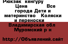 Рюкзак -кенгуру Baby Bjorn  › Цена ­ 2 000 - Все города Дети и материнство » Коляски и переноски   . Владимирская обл.,Муромский р-н